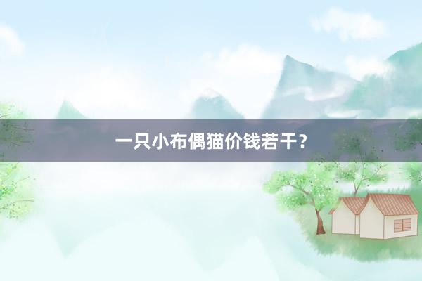 一只小布偶猫价钱若干？