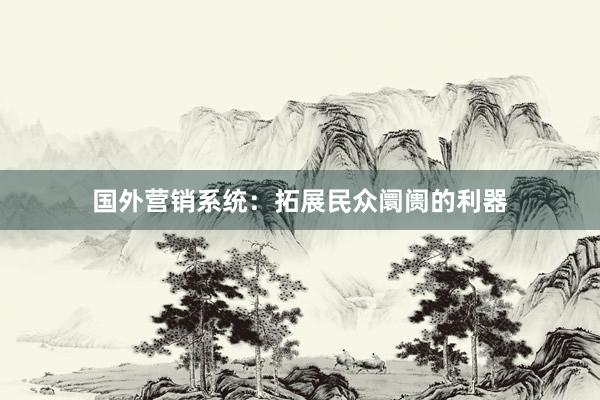 国外营销系统：拓展民众阛阓的利器